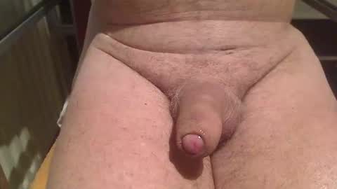 letusplayagain online show from February 2026 06:17:01 AM