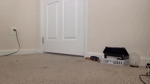 Alexia L. online show from February 2026 04:38:01 PM