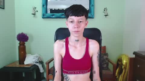 Liam  online show from April 2026 12:09:02 PM