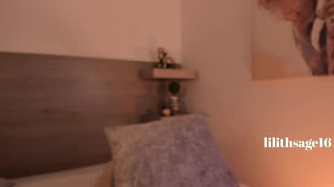 Snapshot of lilith_sage_ chatting on June 2026 07:52:01 PM lilith_sage_ online show from June 2026 07:52:01 PM