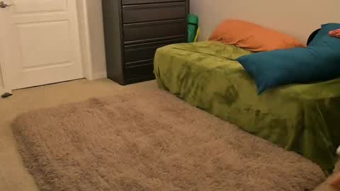 L online show from February 2025 10:38:02 AM