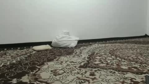 Snapshot of linkisskiss chatting on February 2025 12:03:02 PM LinKissKiss online show from February 2025 12:03:02 PM