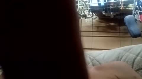 littlechub27817 online show from May 2026 10:53:01 AM