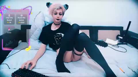 Snapshot of littlepinkcat chatting on June 2026 11:18:01 PM Felix online show from June 2026 11:18:01 PM