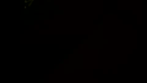 Snapshot of littletj324312 chatting on January 2026 06:29:01 AM Little Tj online show from January 2026 06:29:01 AM