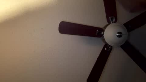 selffuck online show from August 2026 08:46:02 AM