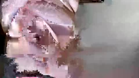 lllortx online show from May 2026 03:41:01 PM