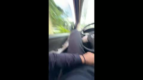 logandaimond online show from April 2026 02:55:02 PM