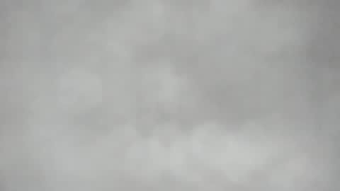 L O L Y -- E B O N Y online show from April 2026 08:23:01 PM