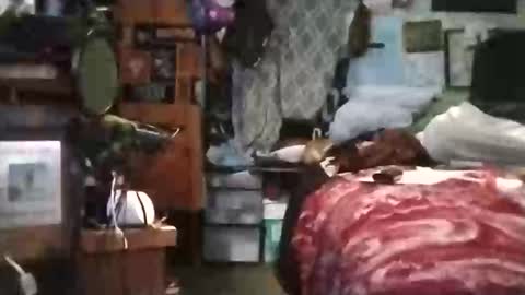 Mr. FogoDeChao online show from March 2026 05:42:02 PM