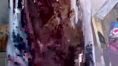 lord47maliby online show from March 2026 03:51:02 AM