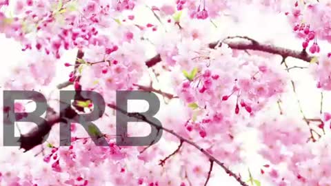 Lorraine online show from June 2026 07:58:02 PM