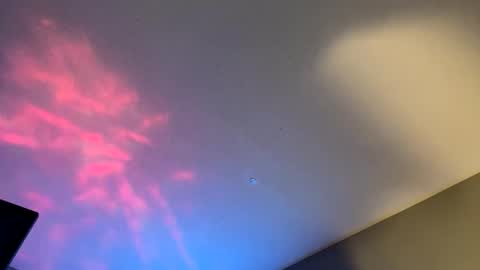 HoneydickNick online show from January 2025 12:19:02 PM