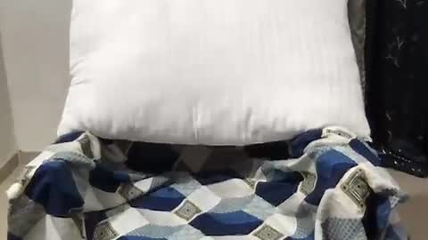 Riva online show from March 2026 10:37:02 AM