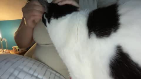 Kate online show from April 2026 10:51:02 AM