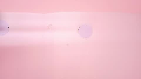 L O V E  online show from March 2026 11:38:02 AM