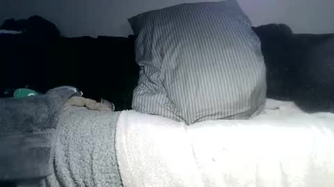 lovetobeused online show from May 2026 03:02:01 AM