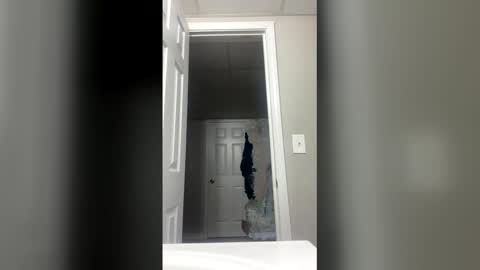 lunamoth00 online show from December 2025 12:04:01 AM