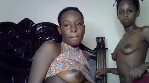 lutino_lovebirds online show from March 2026 06:58:01 PM