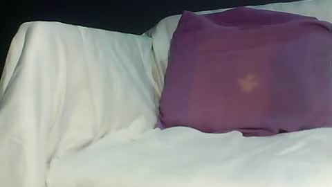 Bee Bee online show from March 2026 04:05:02 AM