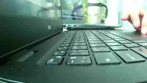 Bee Bee online show from March 2026 06:41:02 AM