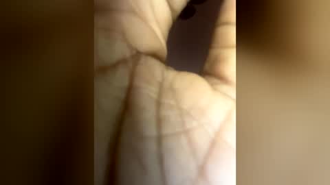 luvvlee online show from June 2026 06:19:01 AM