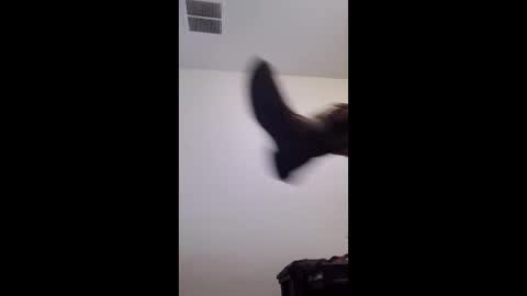 m2tonerfux online show from April 2026 05:21:01 AM