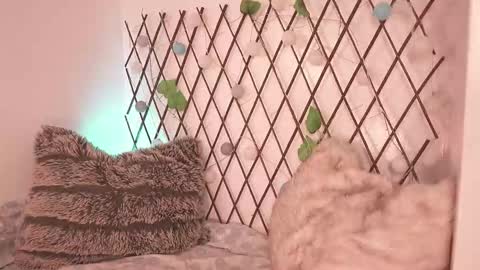 Noah Askew online show from November 2025 07:27:01 PM