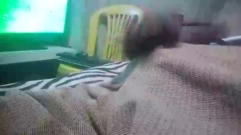 mad415264 online show from November 2025 03:50:02 AM