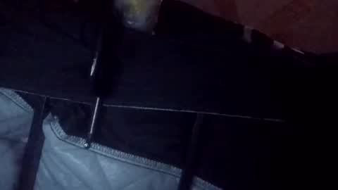 makeunumb88 online show from March 2026 06:51:02 AM