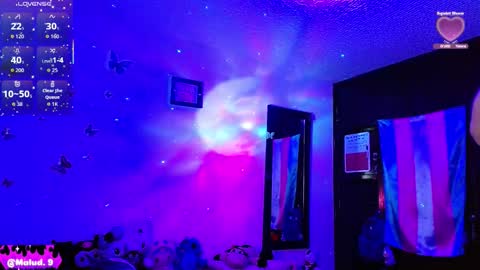   online show from February 2026 12:11:01 PM