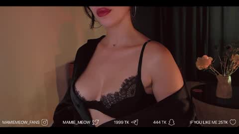 Snapshot of mamiemeow chatting on June 2026 02:12:02 PM Your Miss Alice online show from June 2026 02:12:02 PM
