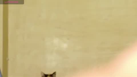 Snapshot of manumeow_ chatting on June 2026 01:06:02 AM Manu online show from June 2026 01:06:02 AM