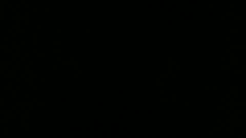 Elle online show from February 2026 04:49:02 PM