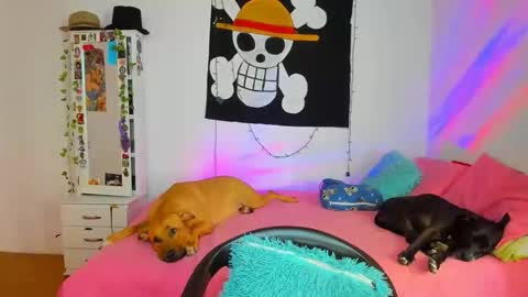 mary online show from April 2026 07:07:02 PM