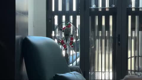 Telegram - FlyingDutchmana online show from March 2026 05:24:01 AM