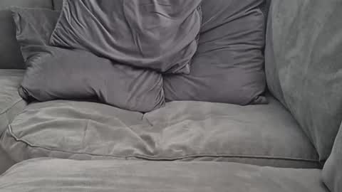 Lee online show from September 2025 11:02:01 AM