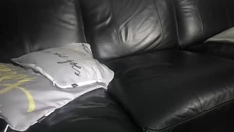 count du monet online show from June 2026 06:59:01 AM