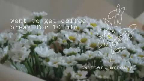 Mary  . online show from July 2026 06:26:02 AM