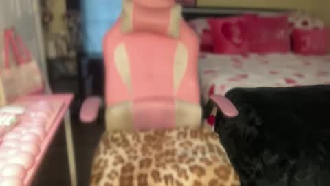 Southern Peach online show from March 2026 03:59:01 PM