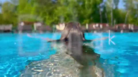 Adel online show from April 2026 06:53:02 PM