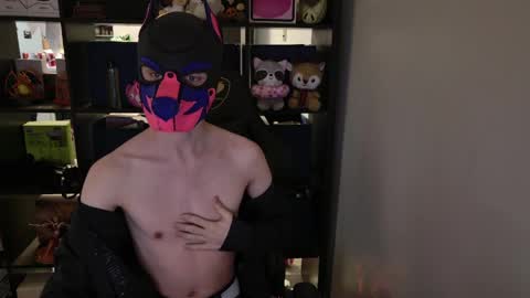 MellPUP online show from March 2026 01:45:01 PM