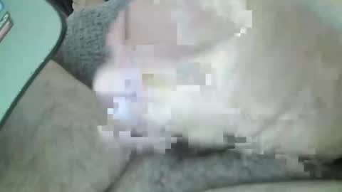 Snapshot of mexianthehawk chatting on March 2026 05:02:01 AM mexianthehawk online show from March 2026 05:02:01 AM