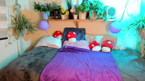 Miaa online show from March 2026 08:25:01 PM