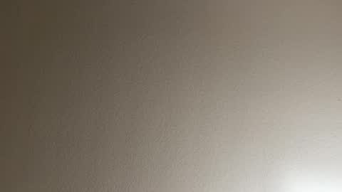 miamifit online show from March 2026 02:28:02 AM