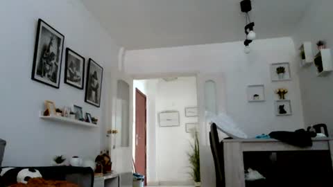 MILO MIAMI online show from July 2026 05:18:02 PM