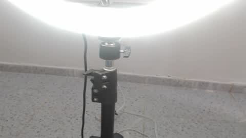 Michell Vargas online show from January 2025 02:17:02 PM