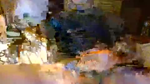 michiganstud28 online show from April 2026 02:14:02 AM