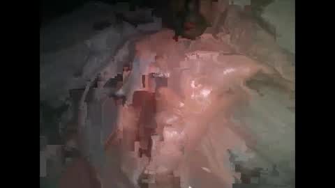 Snapshot of mikeybello chatting on January 2025 03:12:02 AM MR-Michael Horse online show from January 2025 03:12:02 AM