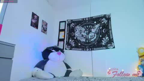        online show from July 2026 09:24:01 AM